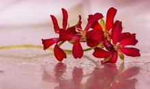 心灵静默的时刻