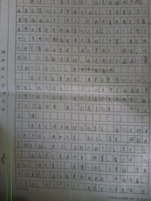 一路陪伴您400字