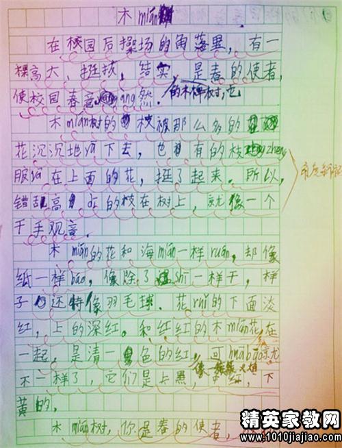 发现自我构图