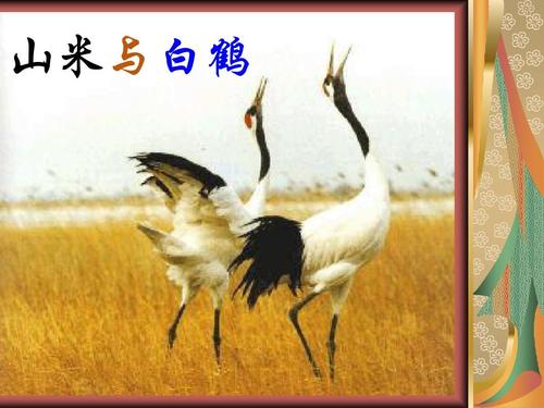 萨米和白河