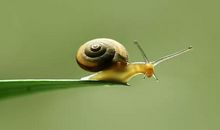 发现自己话题作文