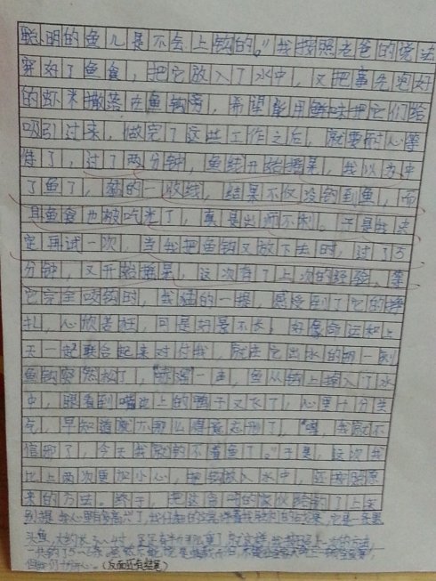 高中捕鱼的组成