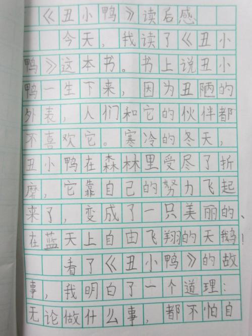 丑小鸭600