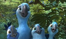 里约大冒险影评