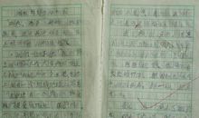 保护动物人人有责作文