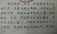 我最敬爱的老师作文