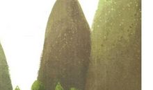 山谷里的朋友读后感