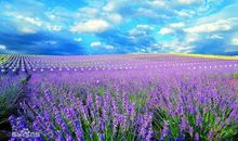 做人有多大气，就会有多成功