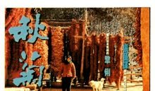 秋菊打官司影评