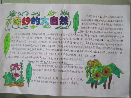 奇妙的自然成分