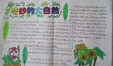 奇妙的大自然作文