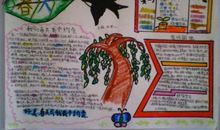 春天的图画作文