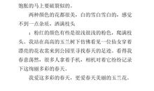 春天的玉兰花作文