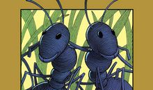 那件事给我的启发