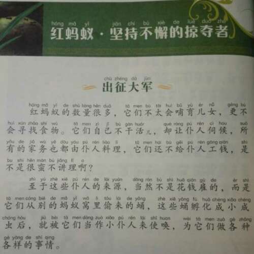 看虫后700