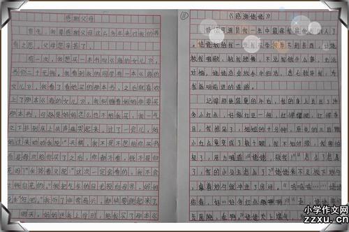什么是美丽的构图600字
