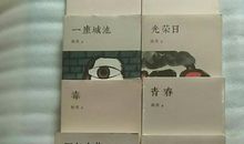 一座城池读后感