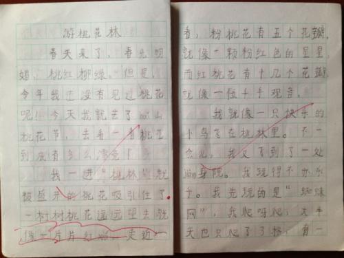 见桃花组成