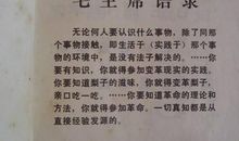 实践出真知作文