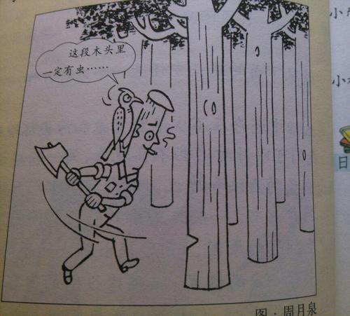 小学六年级