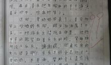 人间处处有真情作文