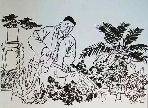 老舍对种花的想法