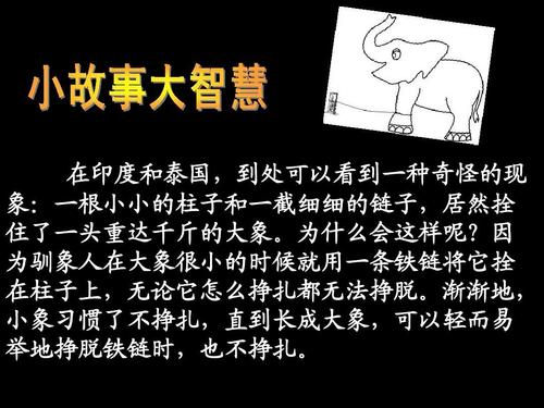 习惯决定命运