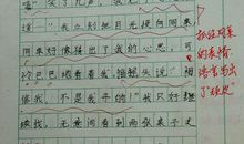 我的同桌三年级作文