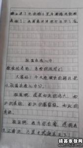 我的孝心