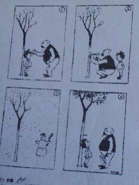 看图片写六年级