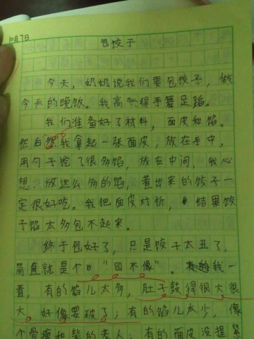 关于做饺子的日记