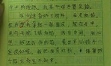 关于包饺子的日记