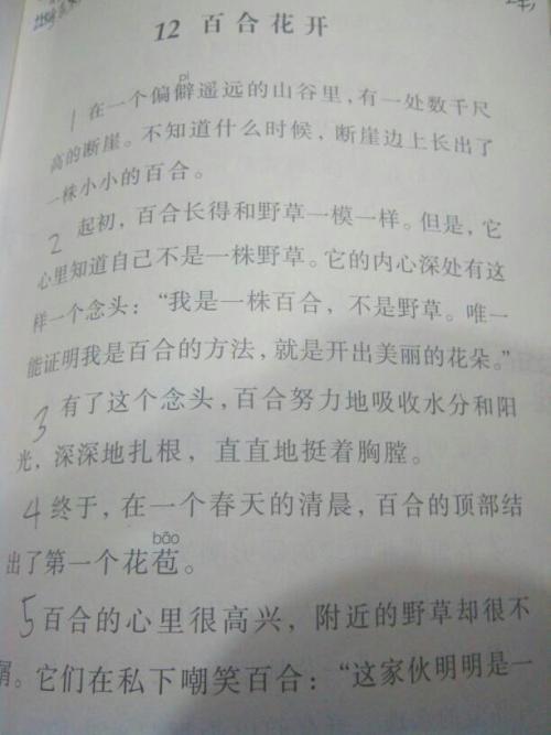 百合组成