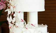 住在蛋糕里的天使读后感