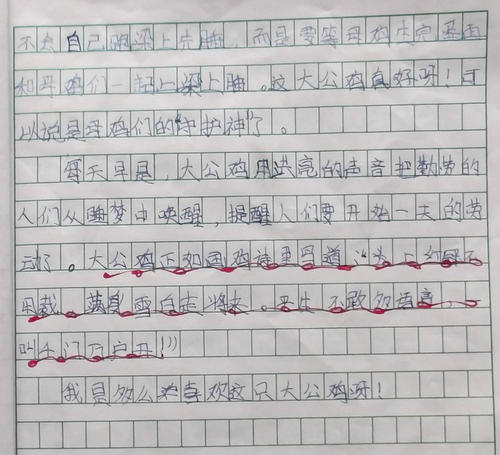 我的第一个中文作文