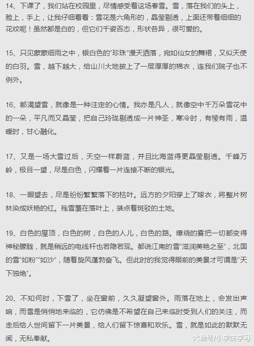 关于降雪成分的300个单词