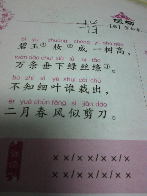 日记中有100个字