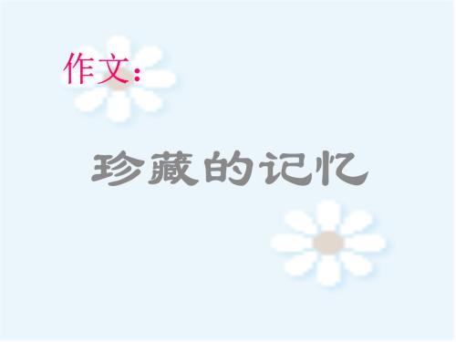 宝藏记忆600字