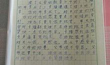 关于一本书的读后感