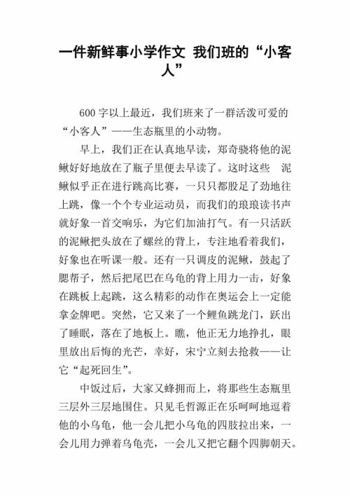 我们村庄组成中的新事物