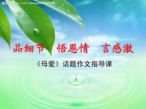 母爱组成开始