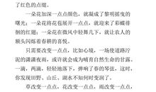 借雪抒情的作文