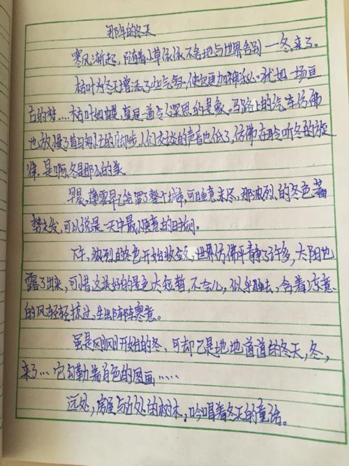 中学日记300字