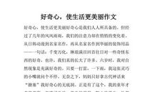 让世界更美好作文