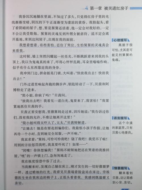 看完简·艾尔的经典