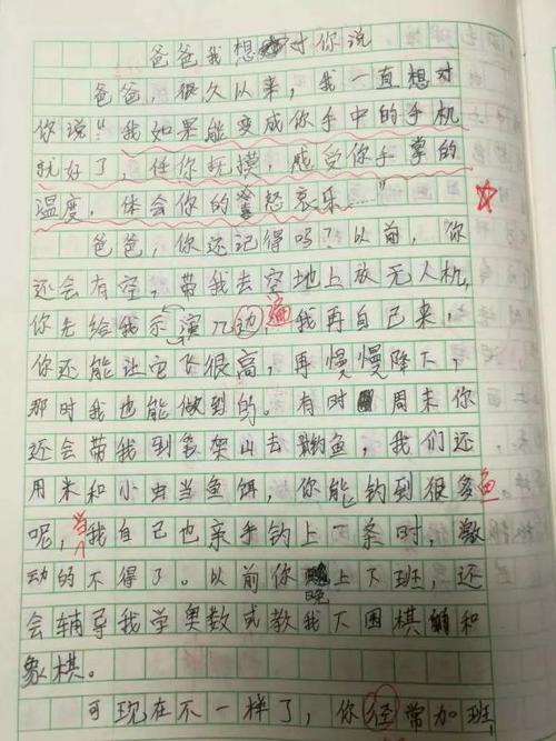 谢谢爸爸的作文