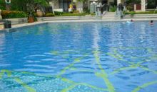 去游泳馆游泳的作文