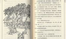 苏轼诗词读后感