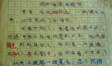 假如我是一棵树350字作文