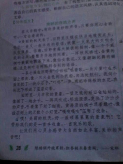 我是大自然作文500字的成员